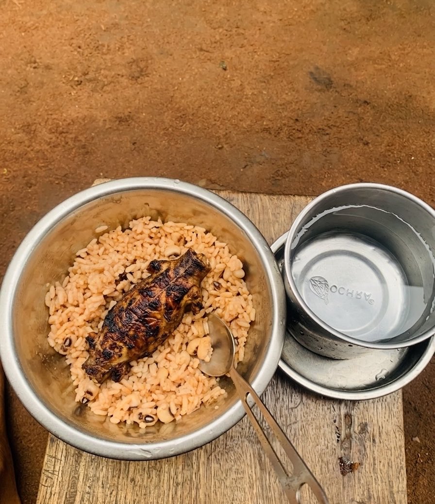 Lizard Rice Cooking Having some roasted bush lizàrd meat and well prepared delicious rice ...