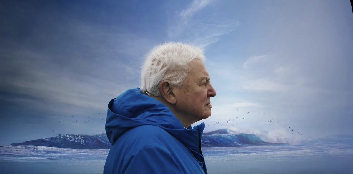 LejdaToci's tweet photo. 100 years of David Attenborough.

Few voices have done more to bring the planet into our living rooms and our conscience. His work made nature feel personal, fragile and worth protecting.

Entire generations care more about this planet because of him.

Still inspiring at 100. 🌍 https://t.co/XpHYBHqzb6