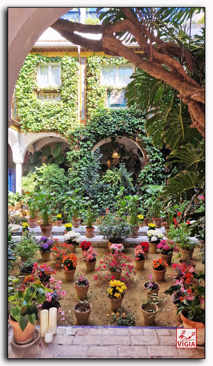 Colores en un patio del barrio de Santa Cruz.