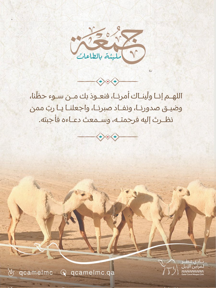 نادي قطر لمزاين الإبل tweet media
