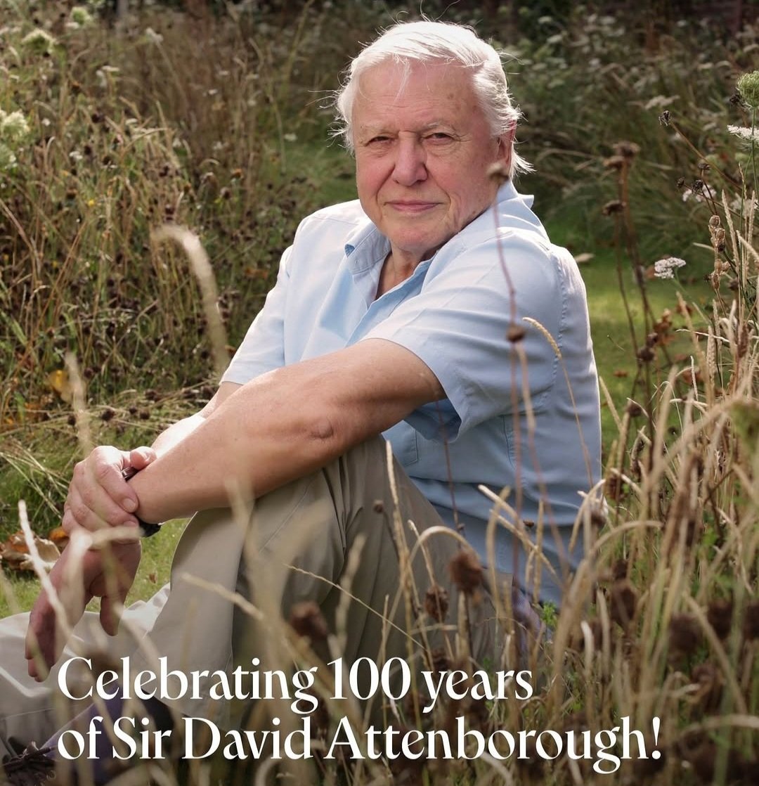Nicola_Bressi's tweet photo. Oggi compie la bellezza di 100 anni (CENTO) uno dei più grandi naturalisti e divulgatori scientifici di tutti i tempi.
Happy birthday Sir David Attenborough 🍷
An thank you very much 🙏 https://t.co/w0EYnb9HvM