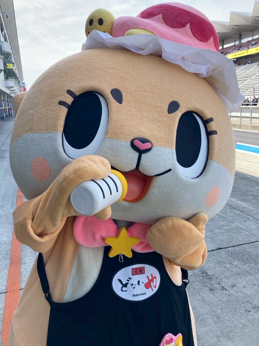 カメちゃん 31128_alt4.png?fit=crop&