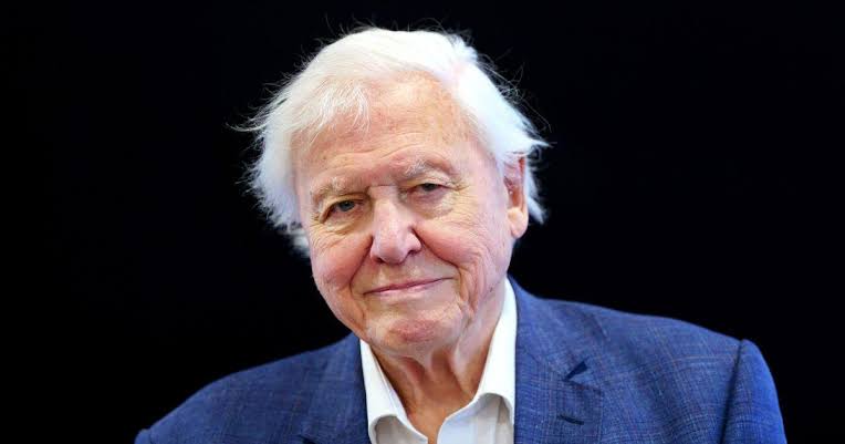 Osint613's tweet photo. Sir David Attenborough has turned 100. The legendary broadcaster and naturalist was born on May 8, 1926. https://t.co/8wZZ6xUTef