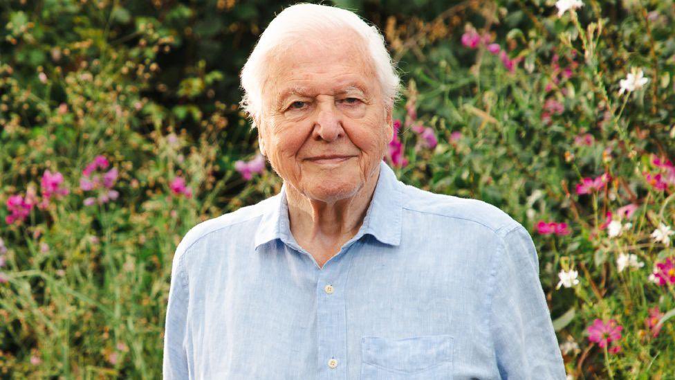 Sir David Attenborough turning 100 and still being the safest pair of hands on British TV is honestly ridiculous.

Most broadcasters spend years trying to manufacture trust. He just has to start talking over a shot of the natural world and everyone settles in.