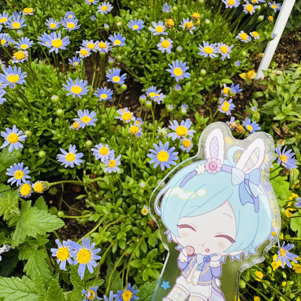 Iyo08W's tweet photo. お出かけした https://t.co/AnBvMF4leu