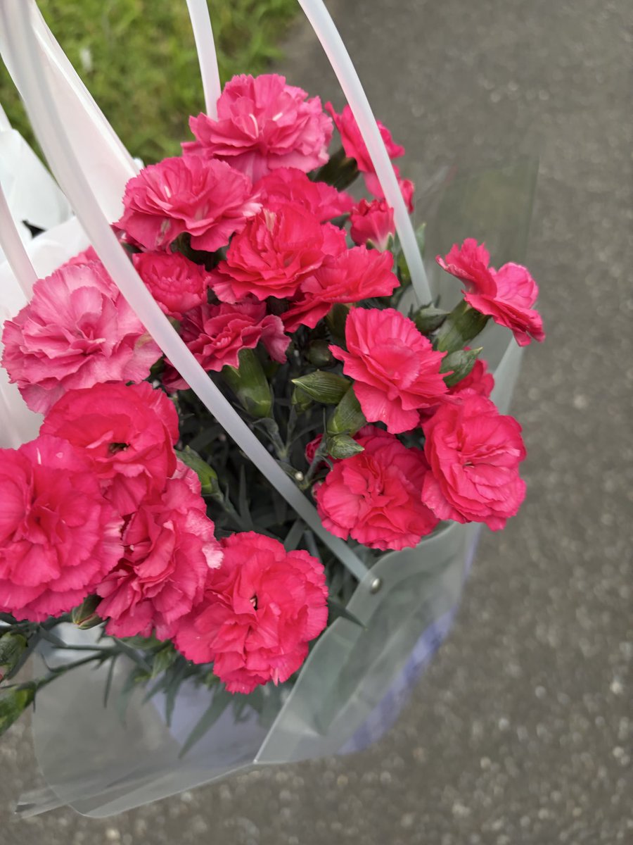 gin39yoshitune's tweet photo. あと何回感謝できるか分からないので、
今年は自分で選んで、自分で渡す。

お花屋さんで、
カーネーションって書いてなかったから
うろうろしてしまったぜ。

さくらもなかっていうんだね。

#母の日 https://t.co/vFIYQjwihX