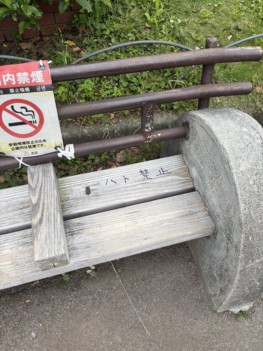 スポンジボブ tweet media