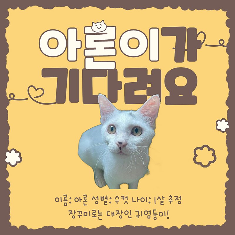 사범 tweet media