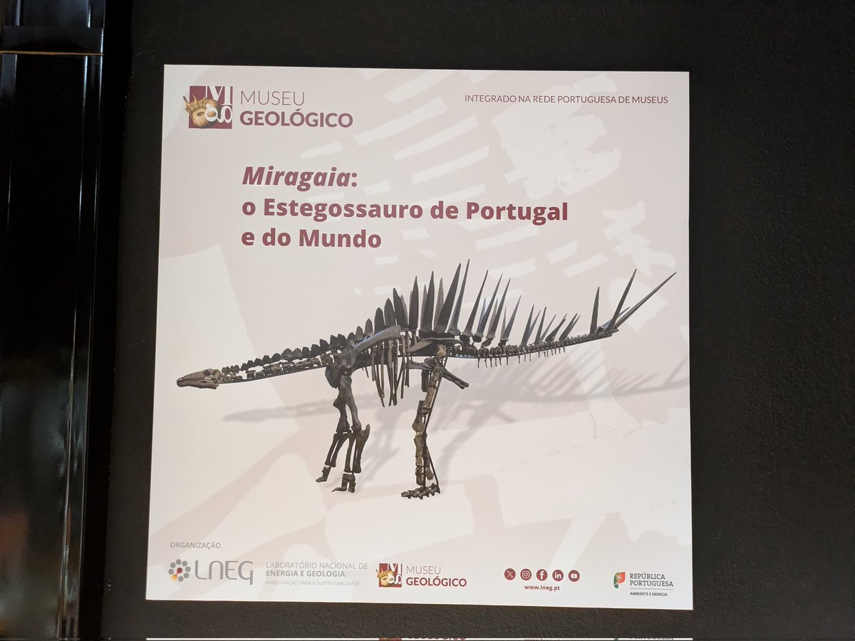 DarioEstraviz's tweet photo. For this #FossilFriday , enjoy the pictures from the presentation of the new exhibit on the Miragaia of Atouguia da Baleia (specimen MG 4863), which will be open from Monday at the Geological Museum of Lisbon. Soak up the spiky glory of #Miragaia! #MadeInPortugal https://t.co/wJX1Lm9mCO