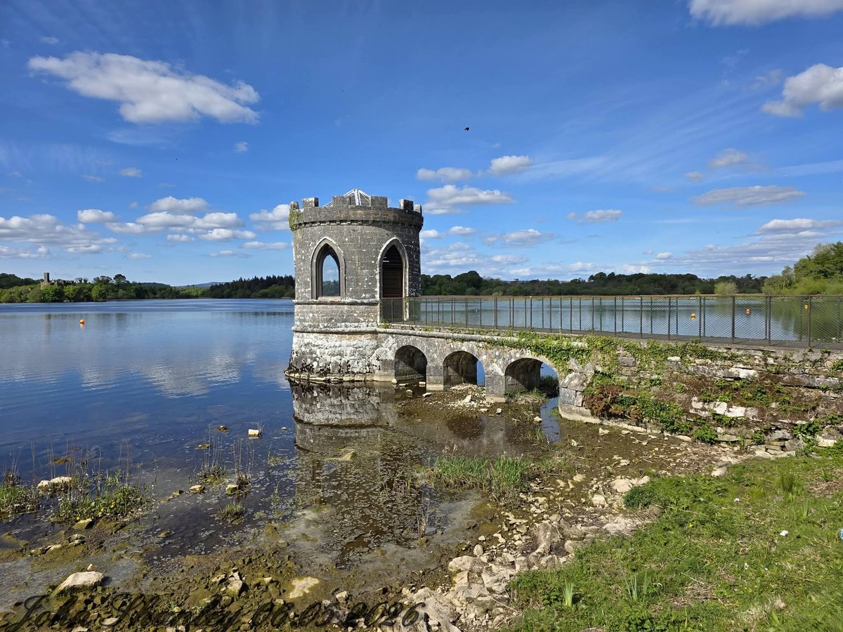 ThisIsIreland3's tweet photo. The stunning Lough Key Forest Park ๐๏ธ๐ฐ
๐County Roscommon, Ireland ๐ฎ๐ช
๐ธ John Shanley
#Roscommon #Ireland #LoughKey #Forest https://t.co/z60UnFhzgA