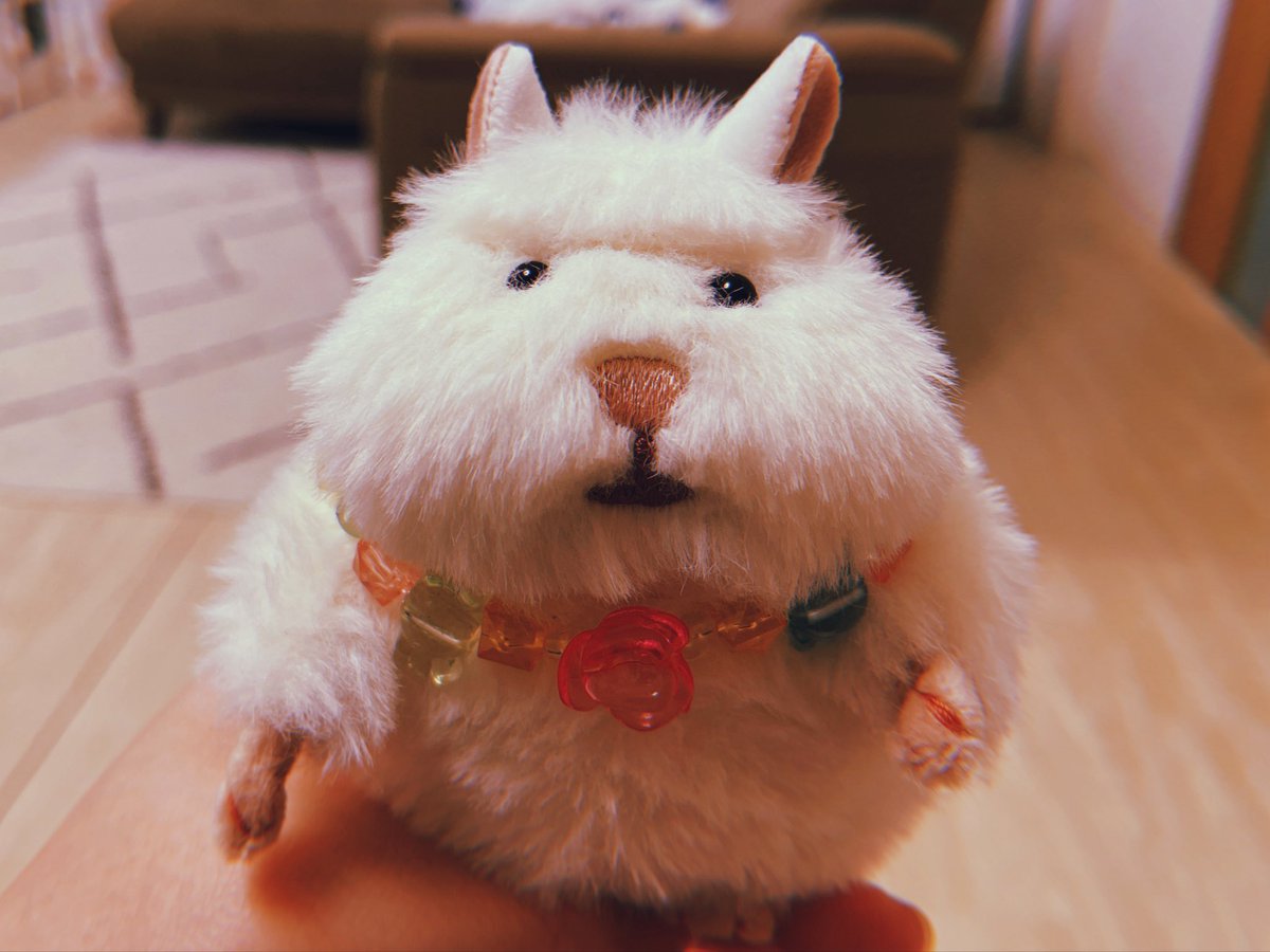 _touchme_killme's tweet photo. お詫びの "びーじゅ ねっくれしゅ" https://t.co/83ueJ6PEPT