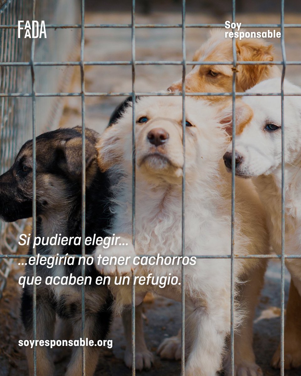 FAADA tweet media