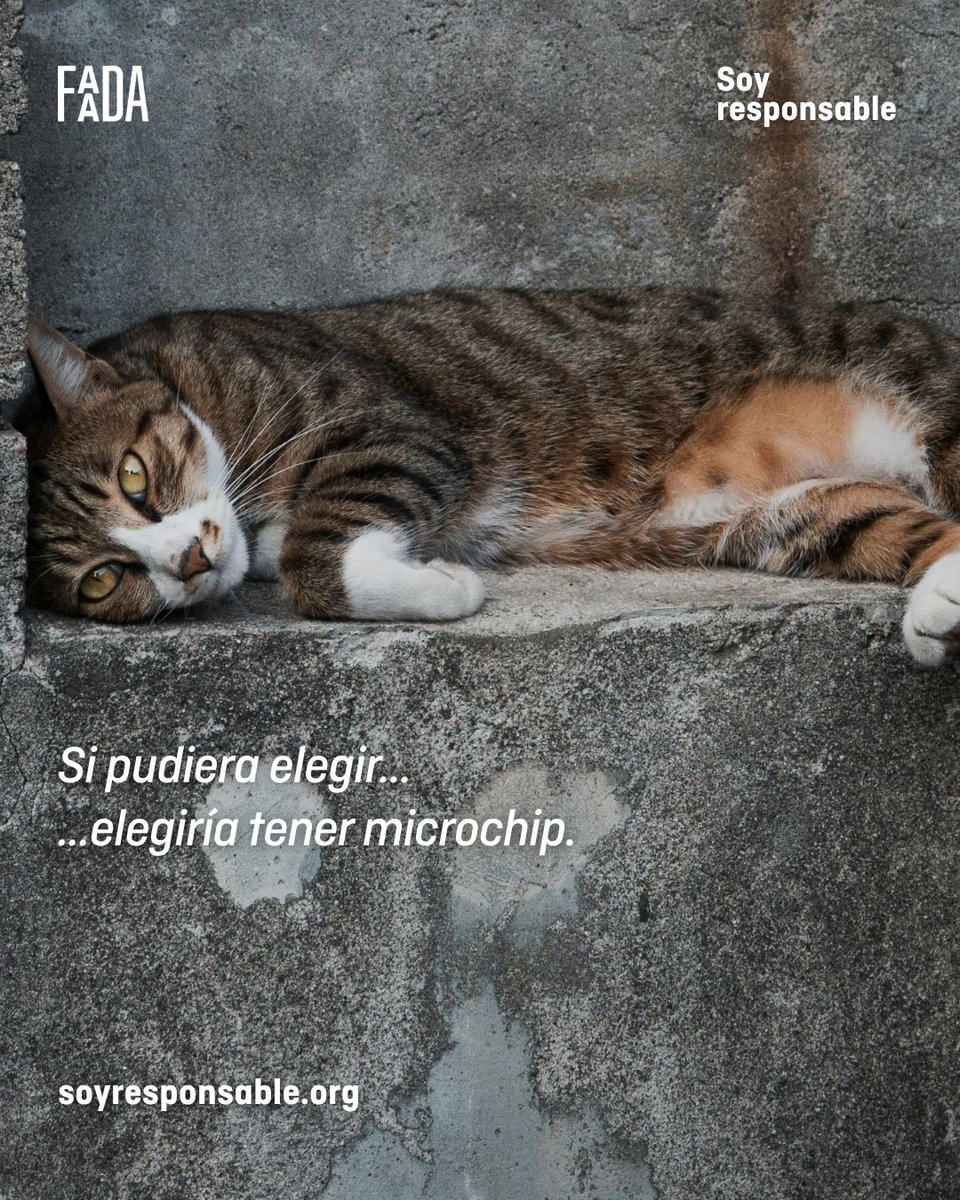 FAADA tweet media