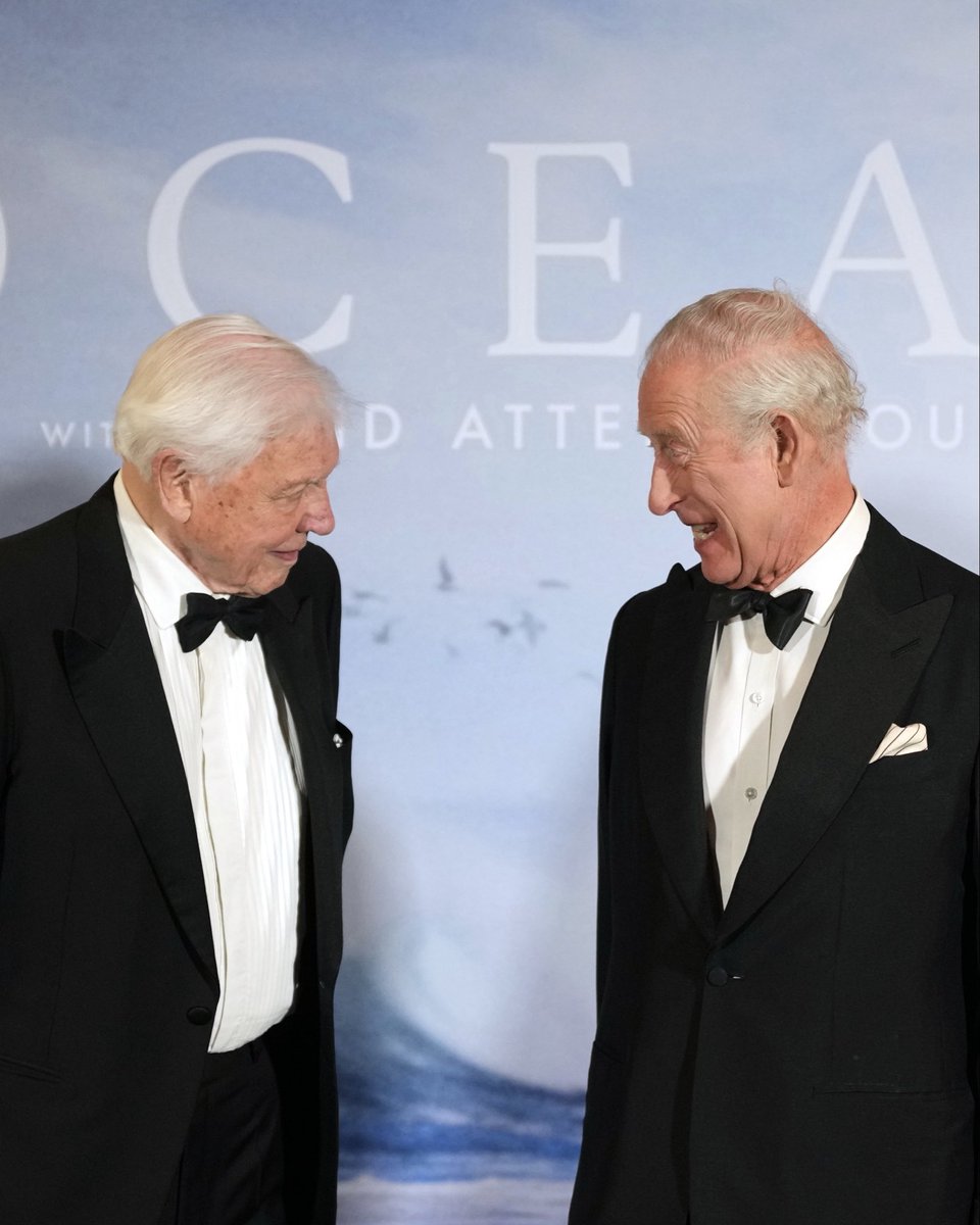 Wishing Sir David Attenborough a very happy 100th birthday. Enjoy your special celebration this evening! 🎈🦍🐆🦅🌿

Tune in to ‘David Attenborough's 100 Years on Planet Earth’ at 8.30pm on BBC One and <a href="/BBCiPlayer/">BBC iPlayer</a>.