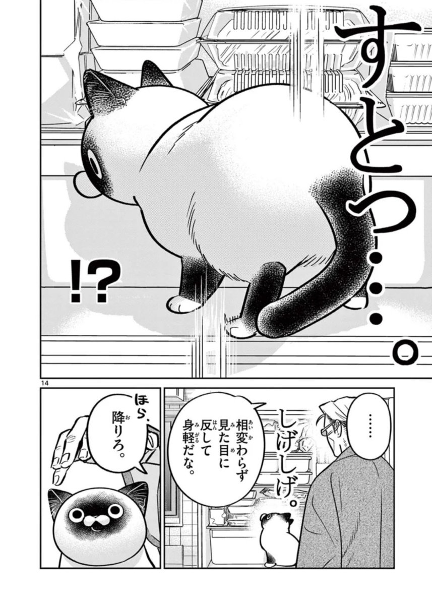 片倉 頼📦オヤジとにゃん吉👨‍🦳🐾🐱1/ 95⃣巻発売!!🐾 (@kata_yoli