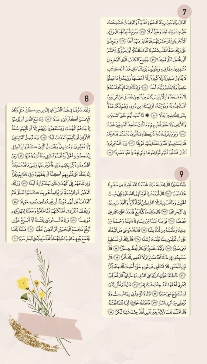 ♔〘 مـِيمـــٓي 〙♔ 🩷🪶 tweet media