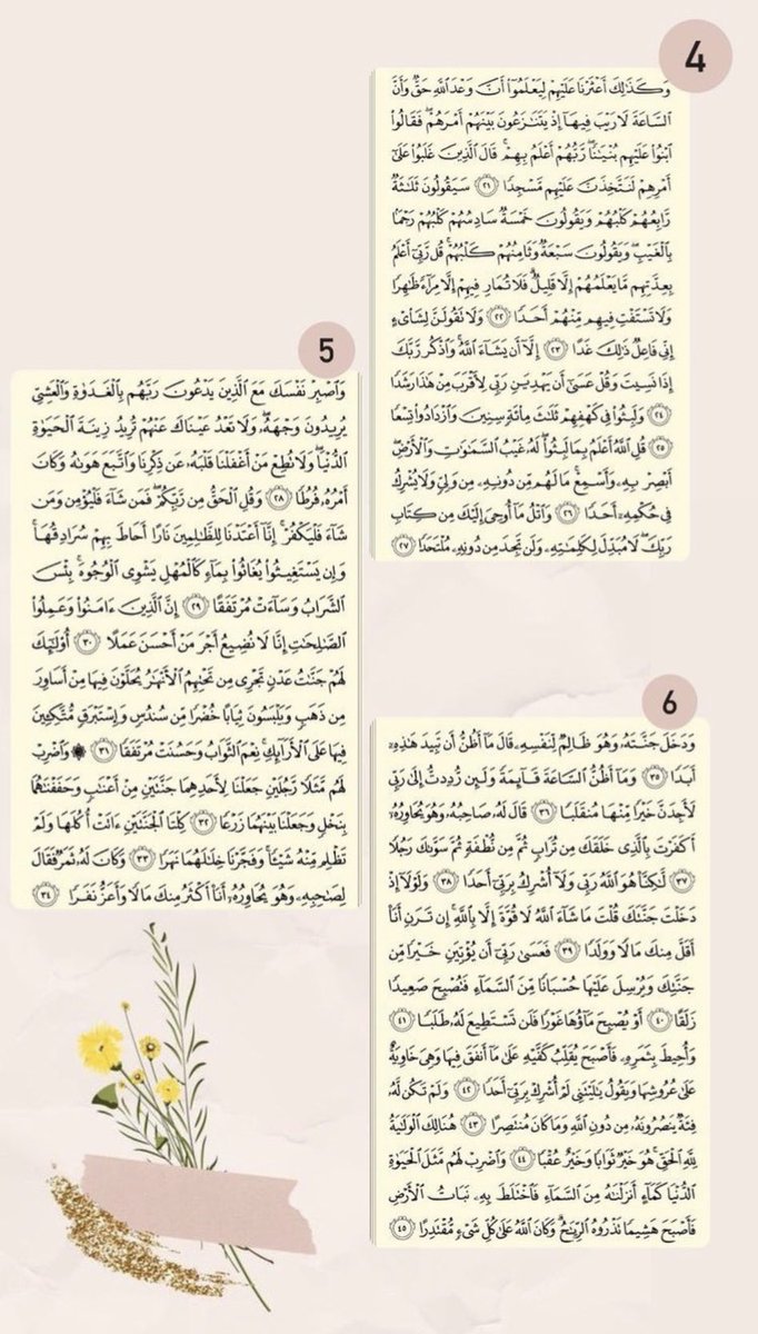 ♔〘 مـِيمـــٓي 〙♔ 🩷🪶 tweet media