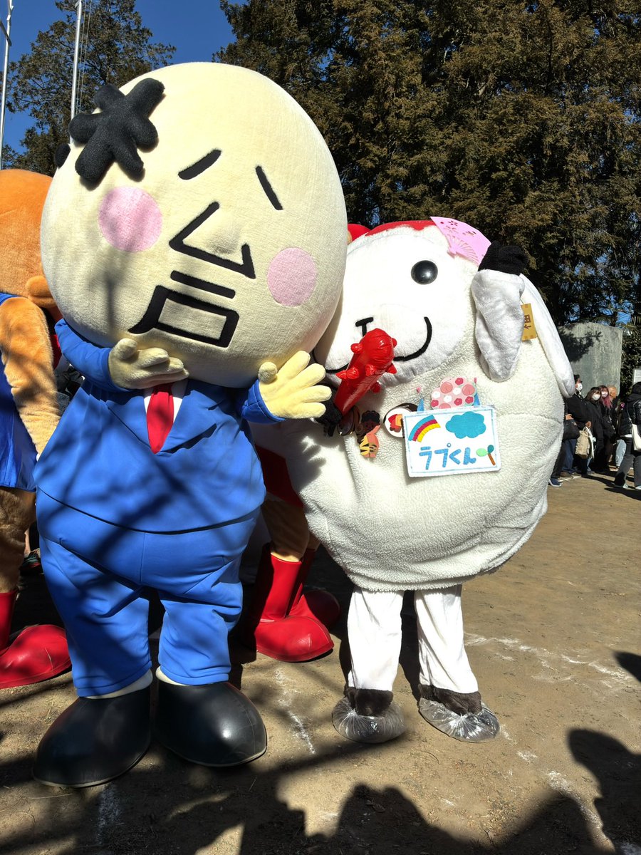 ラプくん【Lamb Love Choppers】 tweet media
