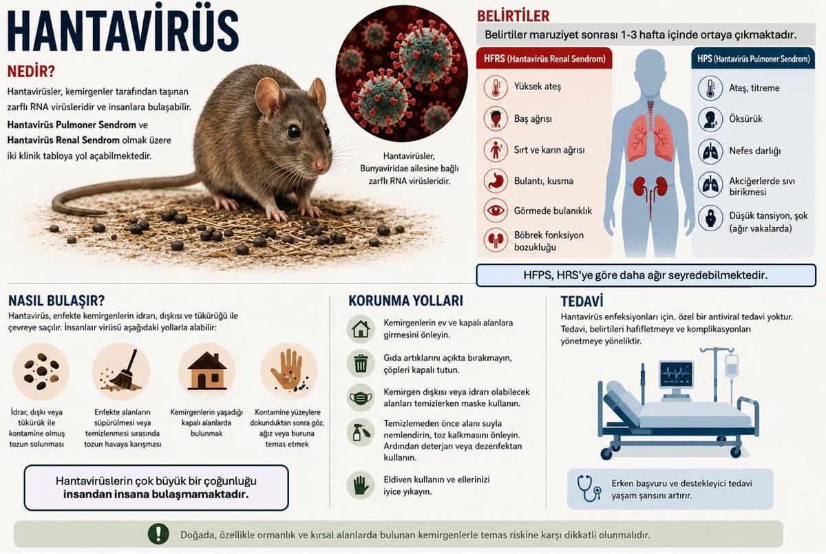 klimik_dernegi's tweet photo. KLİMİK Derneği Zoonotik İnfeksiyonlar Çalışma Grubu (ZİÇG) Hantavirus Bilgi Notu 📌 

Hantaviruslar, kemiriciler aracılığıyla bulaşan ve ciddi klinik tablolara yol açabilen zoonotik infeksiyon etkenleridir.

İnfekte kemiricilerin idrar, dışkı ve salyası ile kontamine aerosol partiküllerinin solunması en önemli bulaşma yoludur. Hantavirus infeksiyonları başlıca iki önemli klinik tabloya neden olabilir:
▪️Hantavirus Pulmoner Sendromu (HPS) → hızlı gelişen solunum yetmezliği, öksürük, nefes darlığı ve ciddi akciğer tutulumu ile seyredebilir.
▪️Hemorajik Ateş ile Seyreden Renal Sendrom (HFRS) → ateş, hipotansiyon, trombositopeni, kanama bulguları ve akut böbrek yetmezliği ile karakterizedir.

Hastalık çoğu zaman; ateş, halsizlik, kas ağrısı, baş ağrısı, bulantı-kusma gibi nonspesifik belirtilerle başlar ve klinik tablo kısa sürede ağırlaşabilir.

Korunmada;
▪️Kemirici teması ve yaşam alanlarının kontrolü
▪️Kapalı alanların temizlenmeden önce havalandırılması
▪️Temizlik sırasında maske ve eldiven kullanılması önem taşır.
▪️Erken tanı, yakın klinik takip ve uygun destek tedavisi mortalitenin azaltılmasında kritik öneme sahiptir.

🔗https://t.co/5U1I2XmFx7
