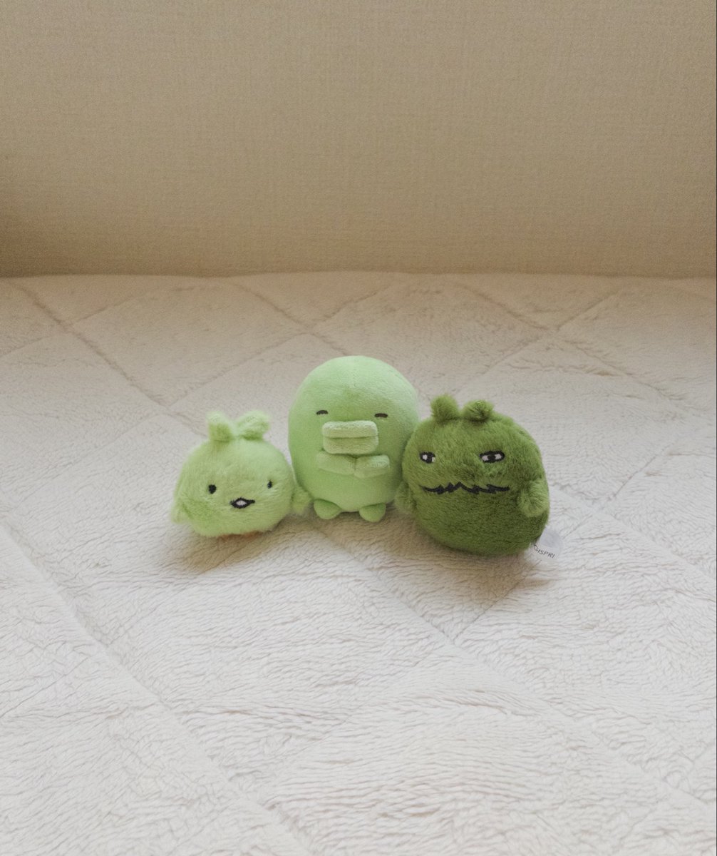 くちぱっち