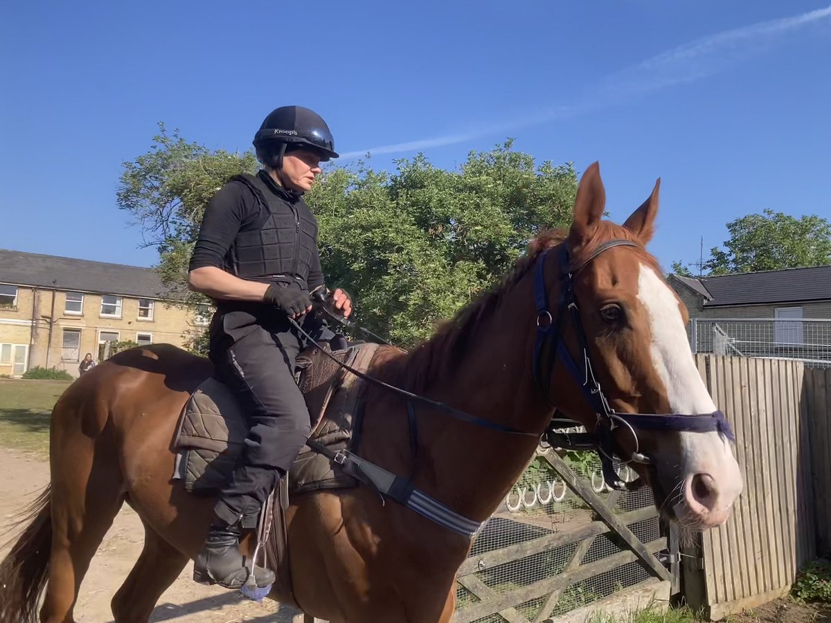 JohnWathenBerry's tweet photo. Massive improvement in Newmarket this morning. We have a warm, sunny day. Idyllic. 6 degrees early on; 14 midmorning; forecast high 18 #Clasina #FlyingStar #CloudyRose #SanoCity #Dereham https://t.co/TarrhtC9Z7