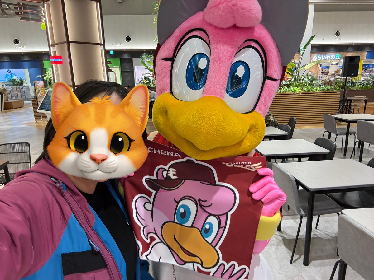 急遽こちらから

チーナが来るなら私も行く！