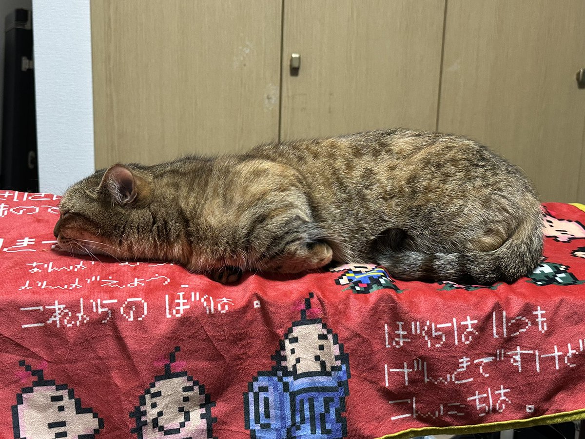 DJ_BABOO's tweet photo. んにゃ https://t.co/1VNXPTHvDN