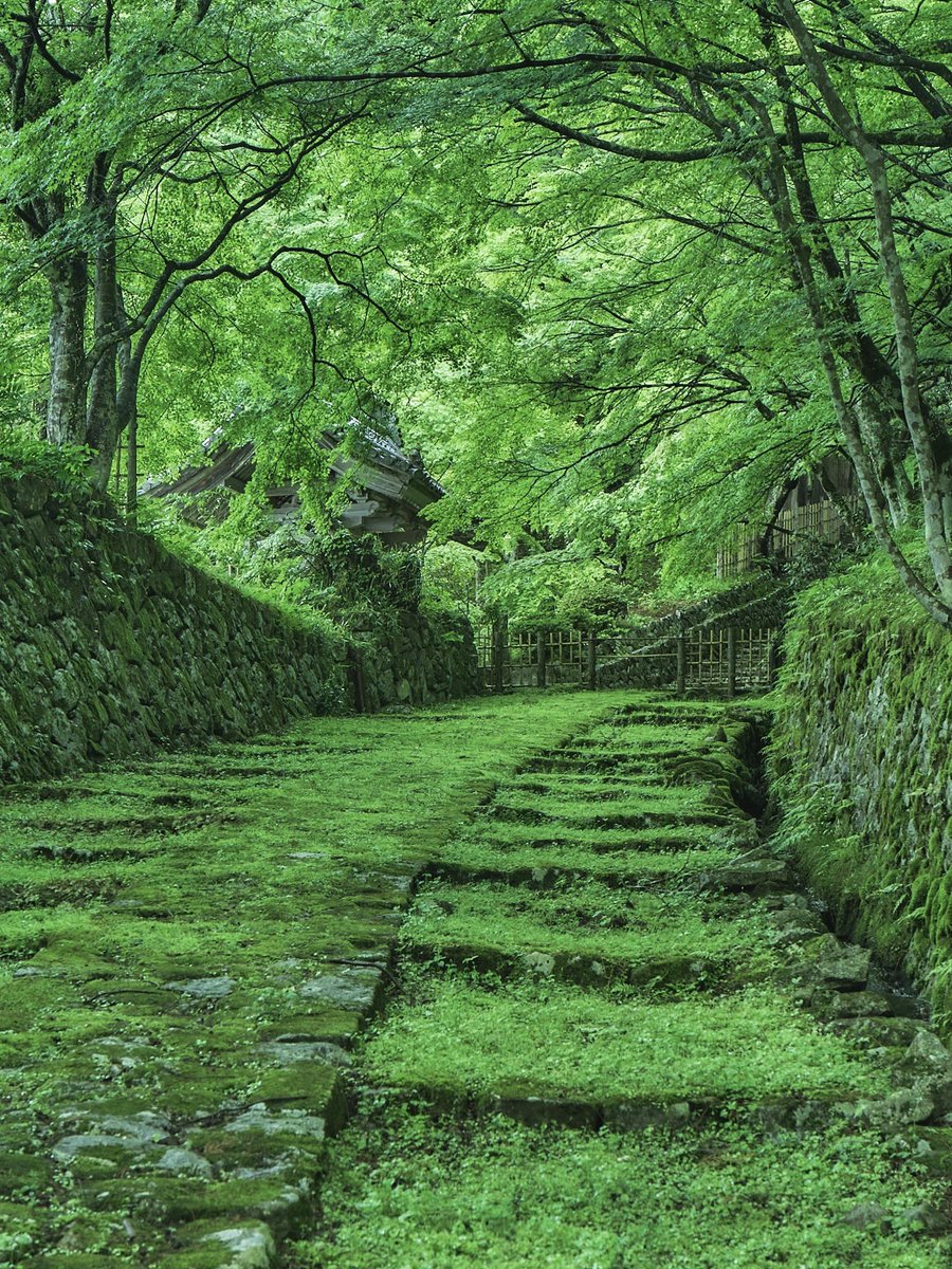 滋賀にある緑に包まれた寺院