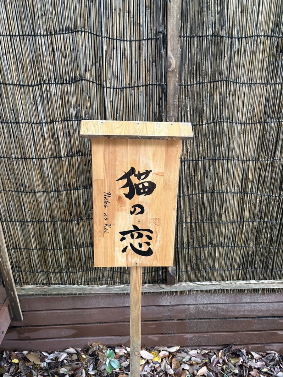 アルファ tweet media