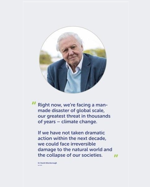 RampionVC's tweet photo. Happy 100th Birthday to Sir David Attenborough! Sir David has been an inspiration to millions (including ourselves) to do what we can for our planet and the "endless forms most beautiful and most wonderful" (to quote a different Sir &amp; naturalist) that we share it with. 🦍🦃🐧 https://t.co/s0DtlxDJWB