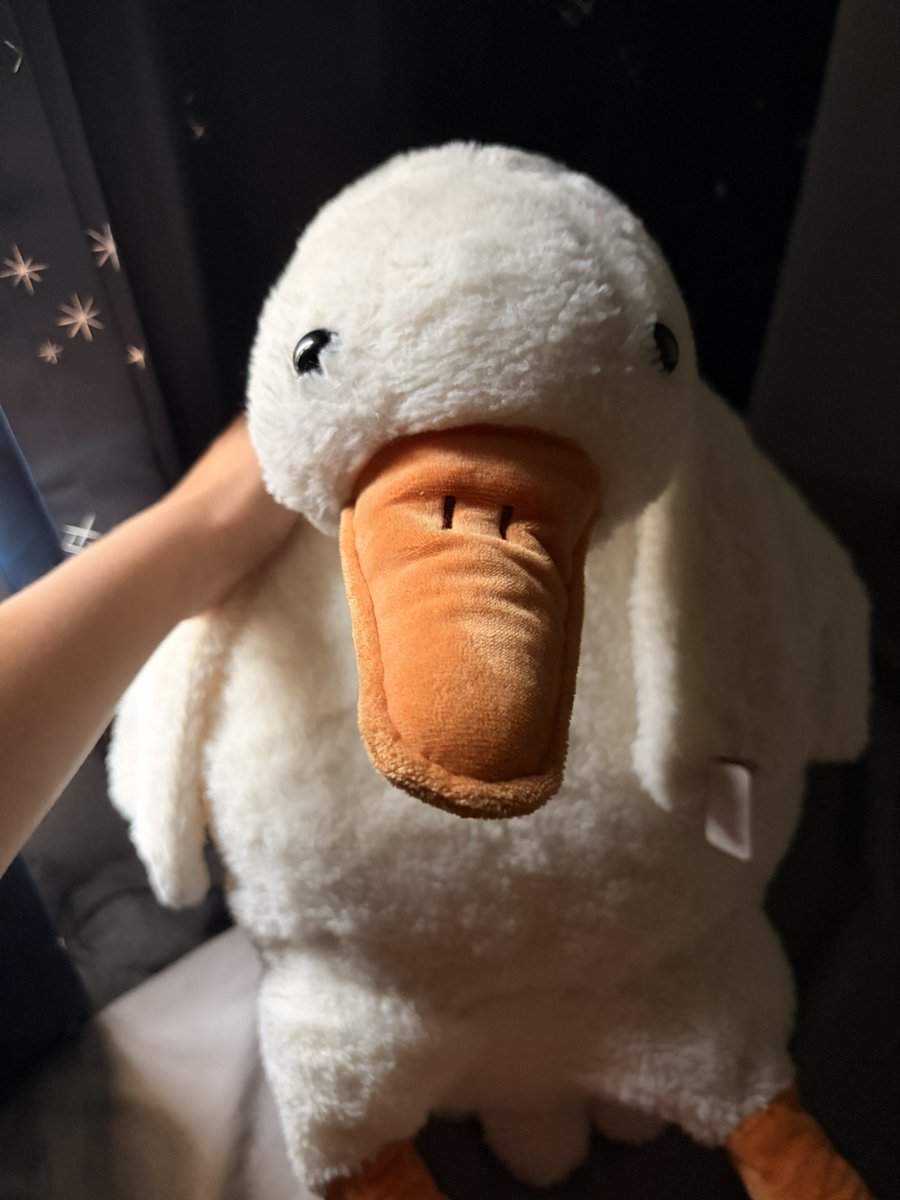 かんじ (@kanji_Toy) / Posts / X