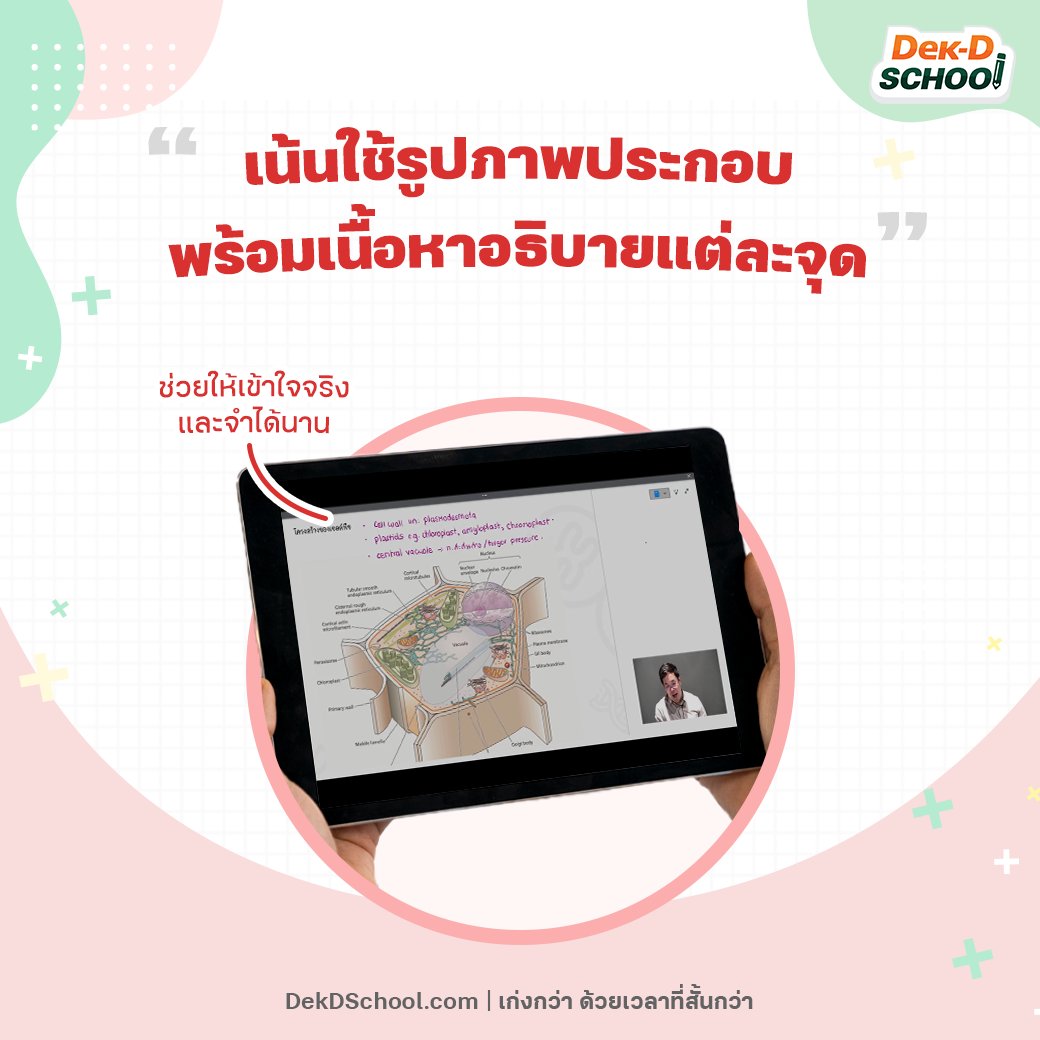Dek-D School คอร์สออนไลน์จากเด็กดี tweet media