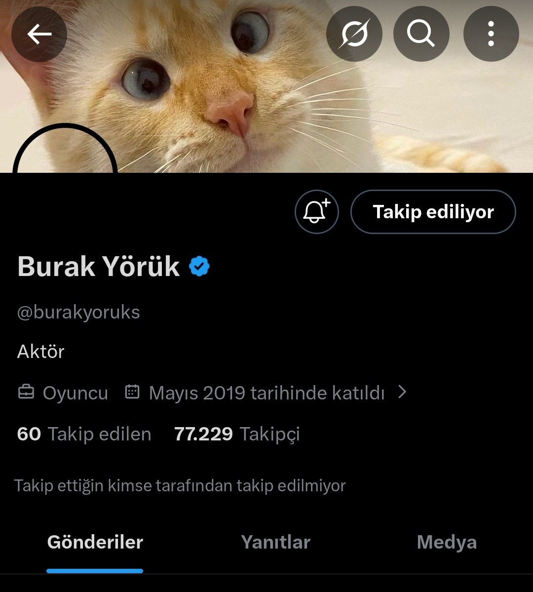 simtuba tweet media