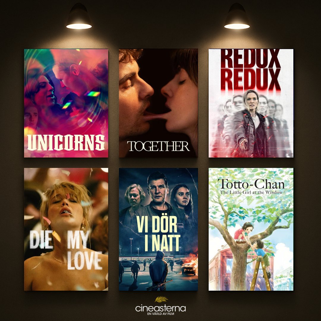 Cineasterna tweet media