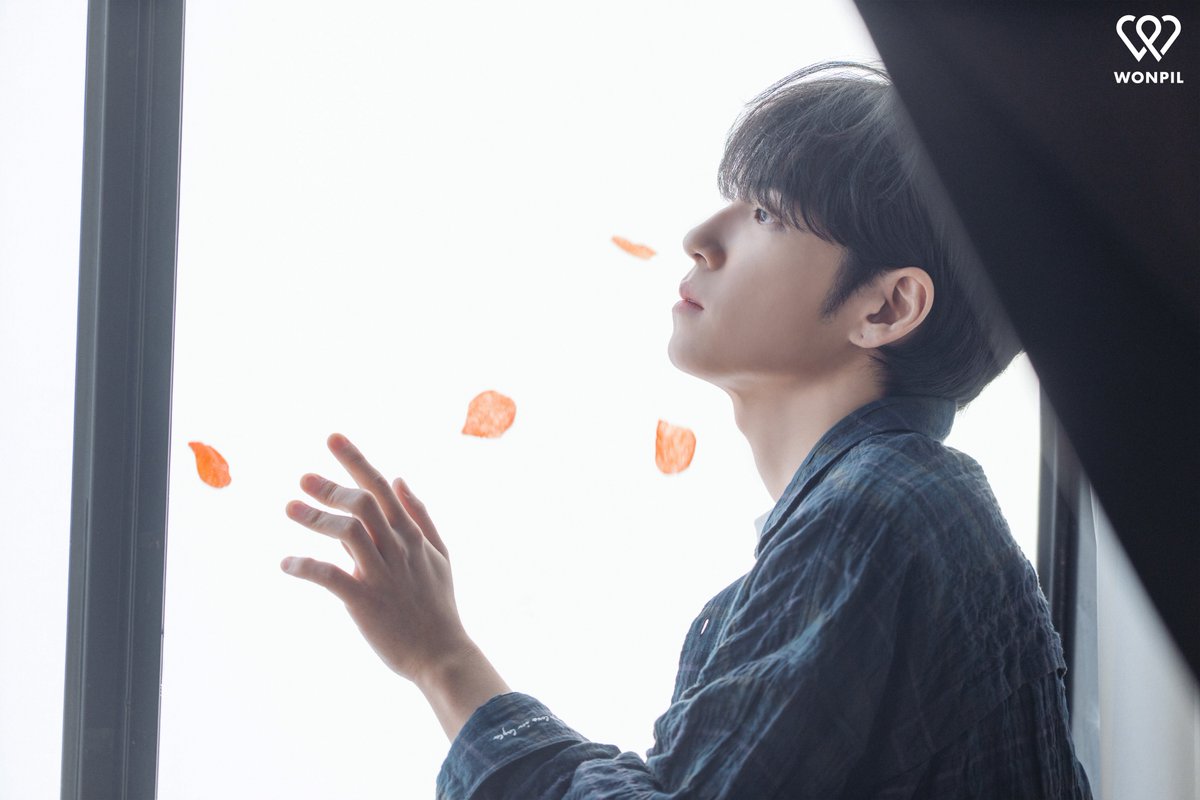 DAY6 tweet media