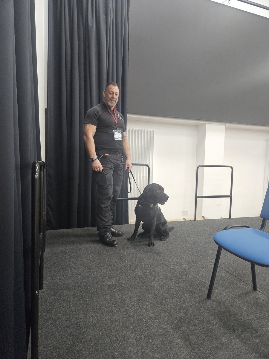 PATKingsSchool's tweet photo. We have @pmnw1 at King's today, and our first session is #PrisonDogs! ๐๐ถ Patch & Ronnie have been on the hunt for scents in the hall! ๐ซ #PrisonMeNoWay #KingsEdge https://t.co/bob6UVn7Sr