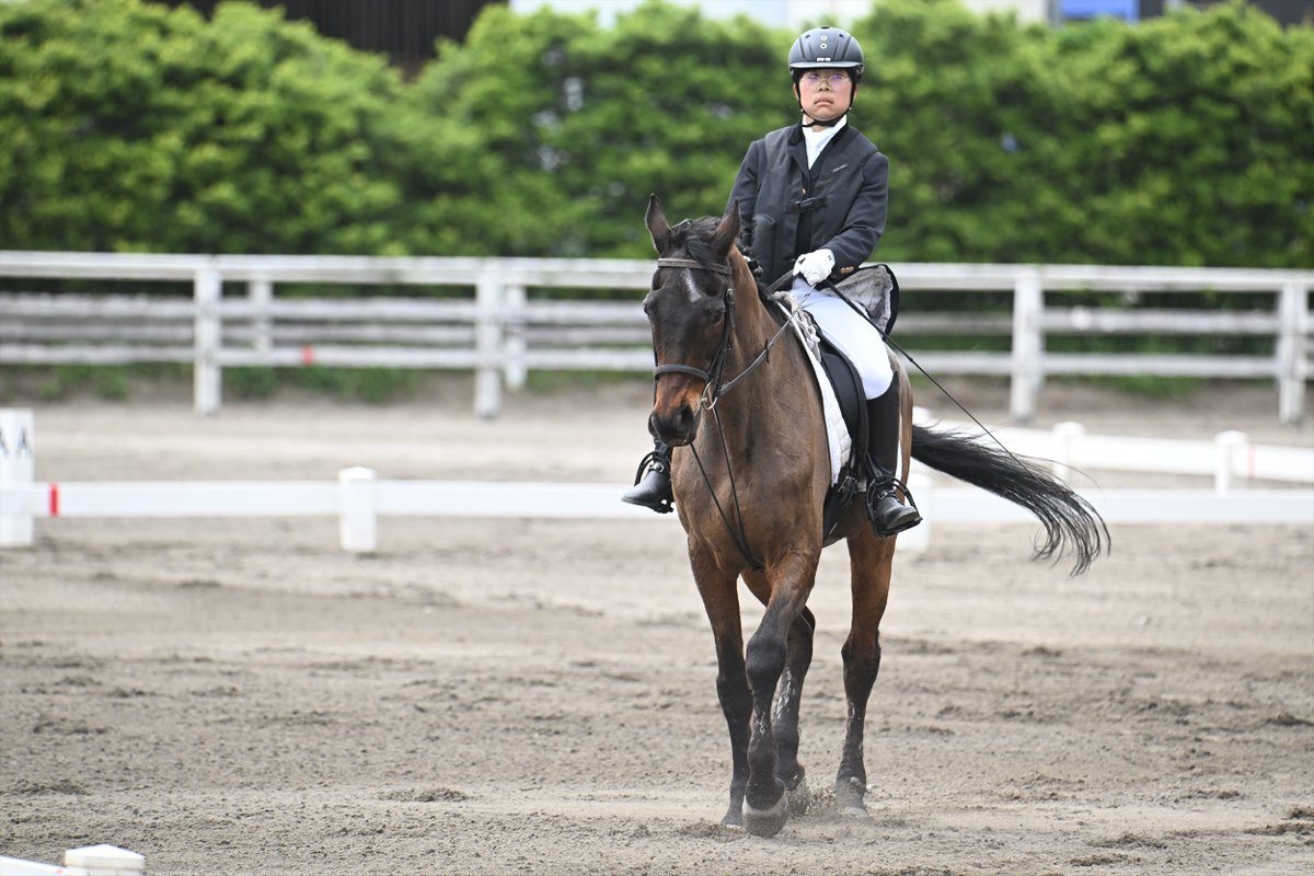 ocavccom's tweet photo. 今日の富トレ
千葉県馬術大会
選手編 https://t.co/wNhmDJbGHh