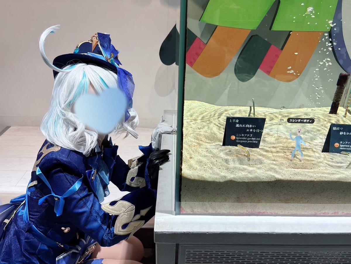 フリーナ tweet media