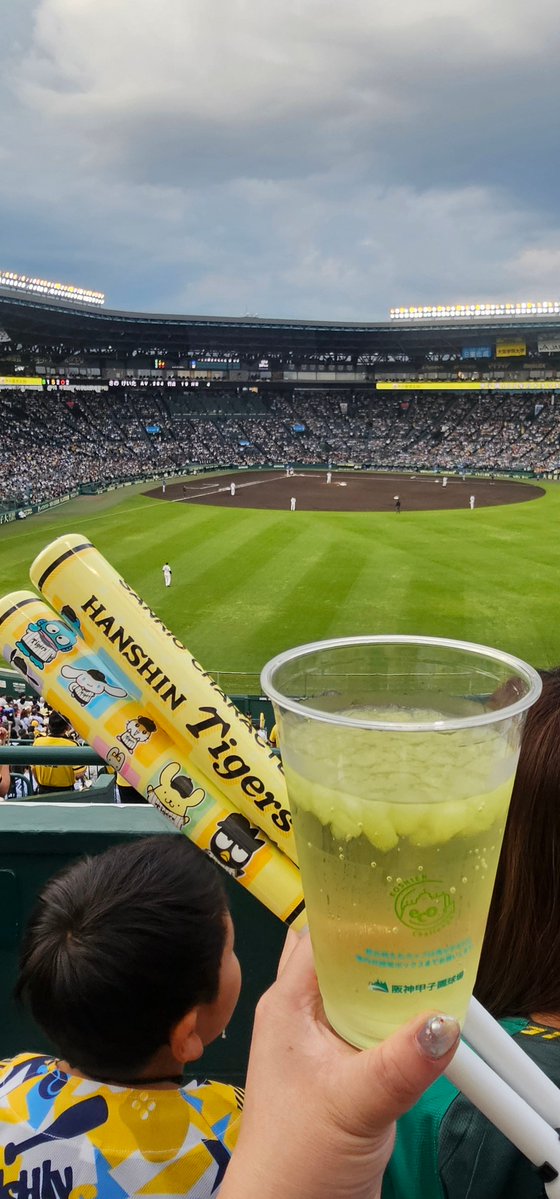絶対勝つぞータイガース🐯 #虎エール
