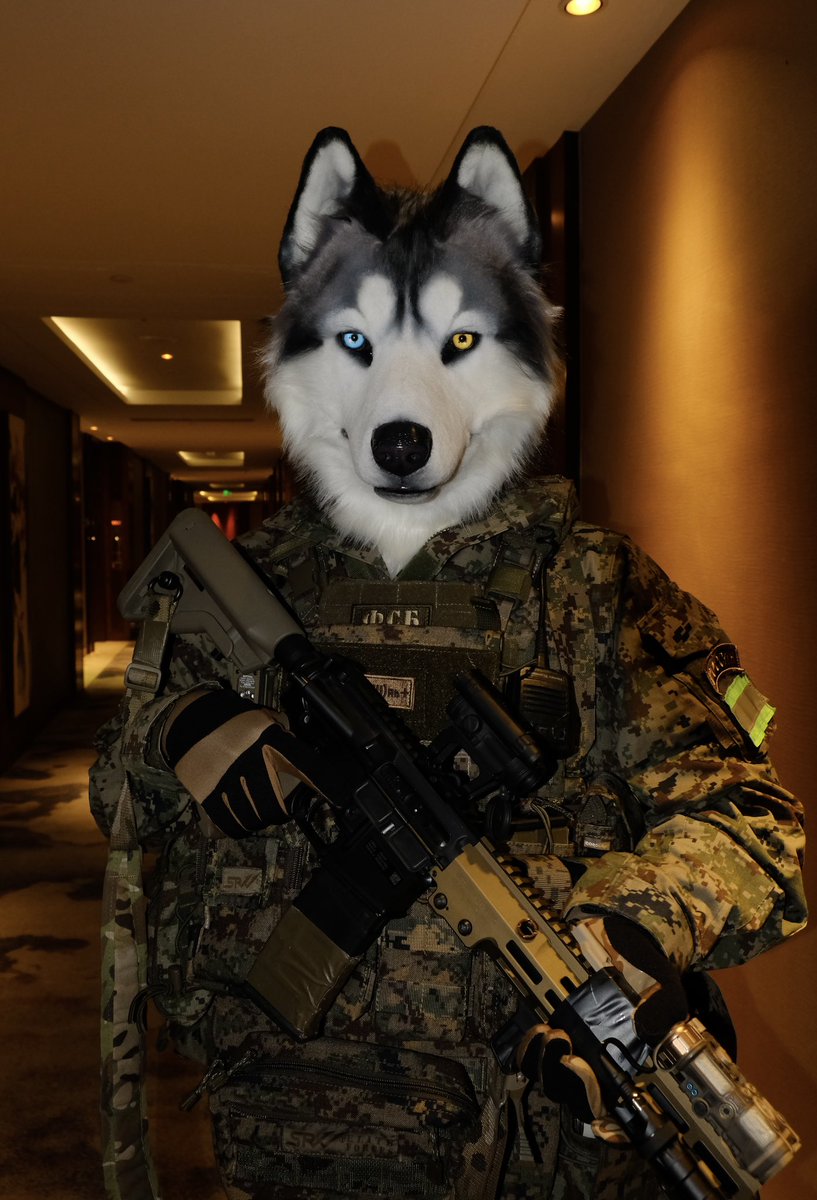 dogkingSWY's tweet photo. Attention！
#FursuitFriday #fursuit #furry #husky https://t.co/zPSqIjsnJ4