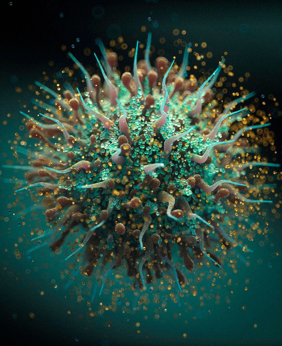 🚨: UK confirms third case of Hantavirus infection.
