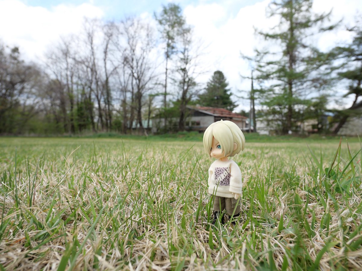 ユリオと山の中をお散歩しました♪