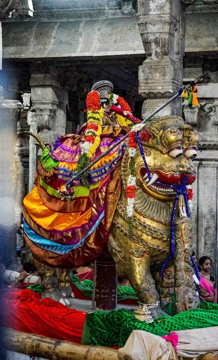 ThaayarS's tweet photo. ஸ்ரீரங்கம் அருள்மிகு அரங்கநாதசுவாமி திருக்கோயில் 

நம்பெருமாள் 
சித்திரை தேர் உற்சவம்
விருப்பன் திருநாள் 2026
மூன்றாம் திருநாள் இன்று (08/05/2026) வெள்ளிக்கிழமை அதிகாலை
சிம்ம வாகனத்தில்
திருவீதி உலா https://t.co/L7kmWM4EhA
