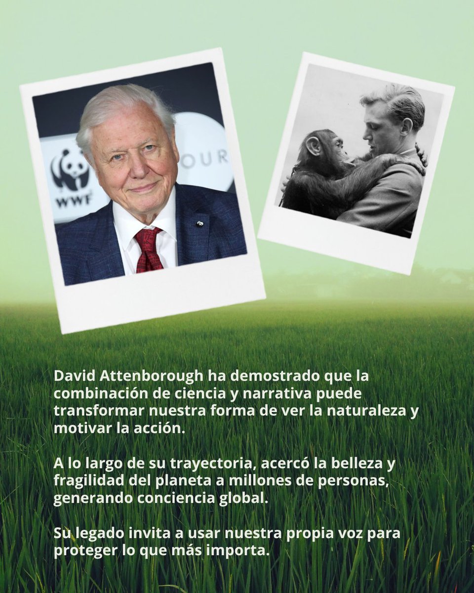 WWF España 🐼 tweet media