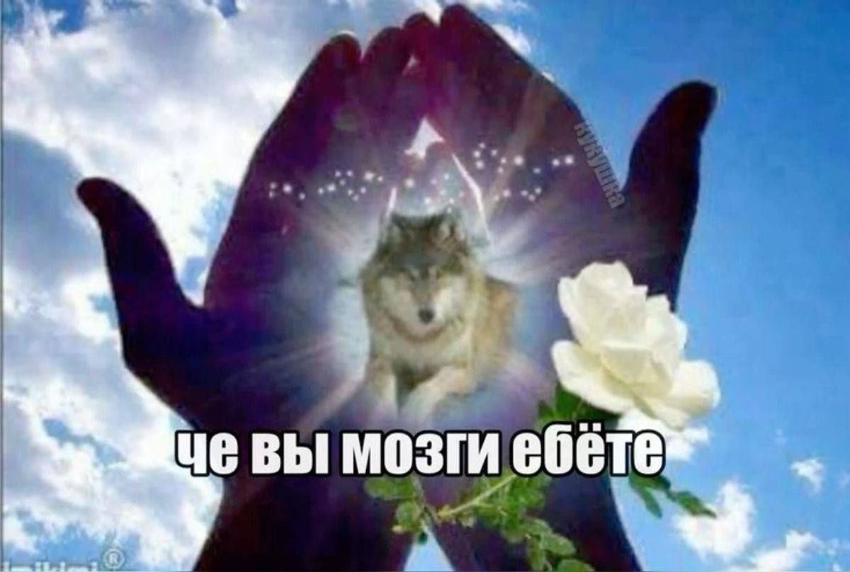 сугарбагет's selected щищьпостинг tweet media