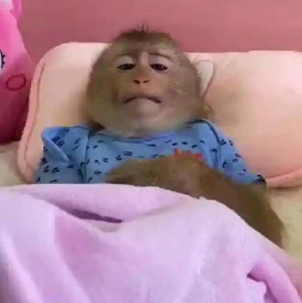 fui bater uma vendo porno cuckold chorei com pena do corno mds eu sou muito monogâmico