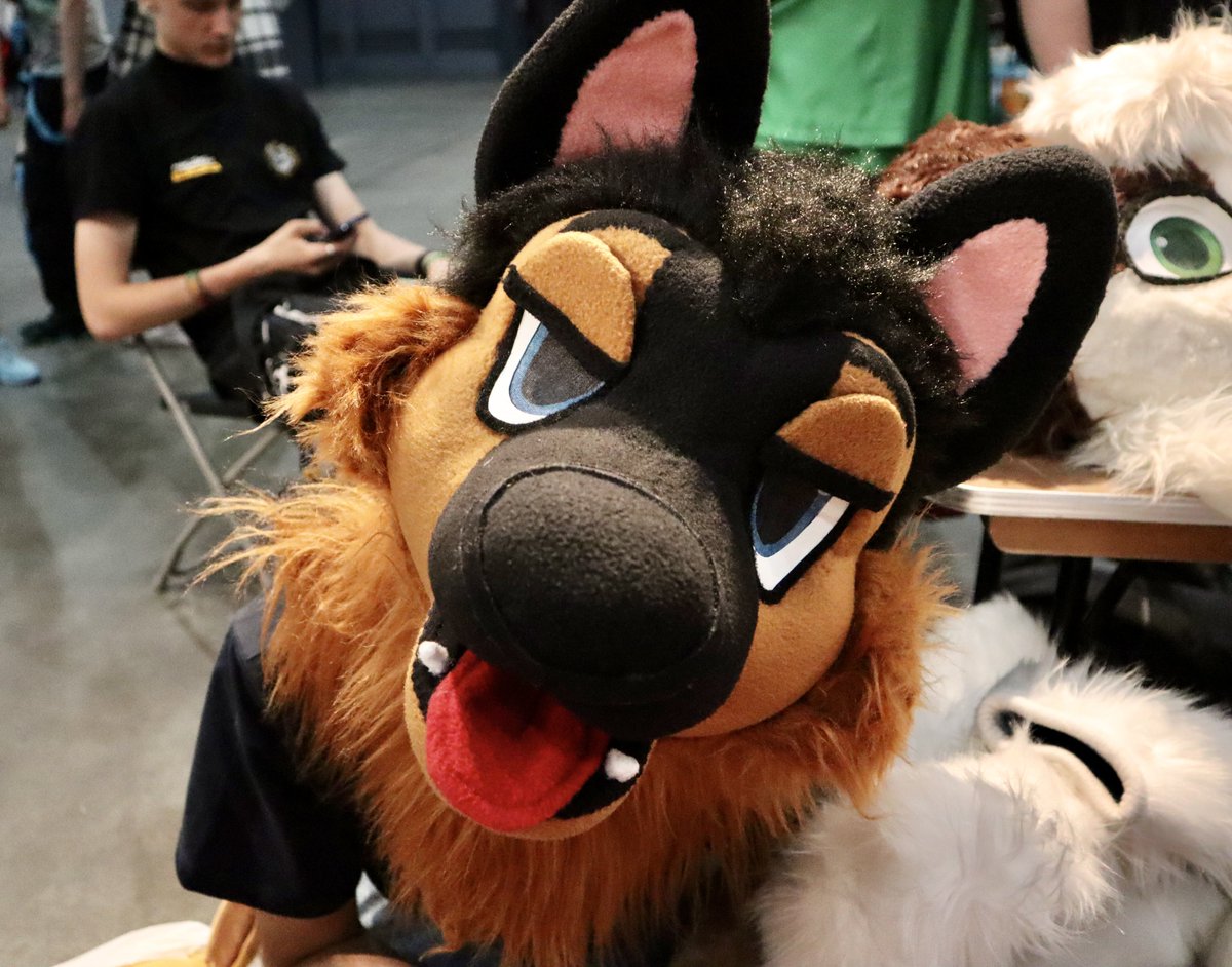 Justino The Shep tweet media