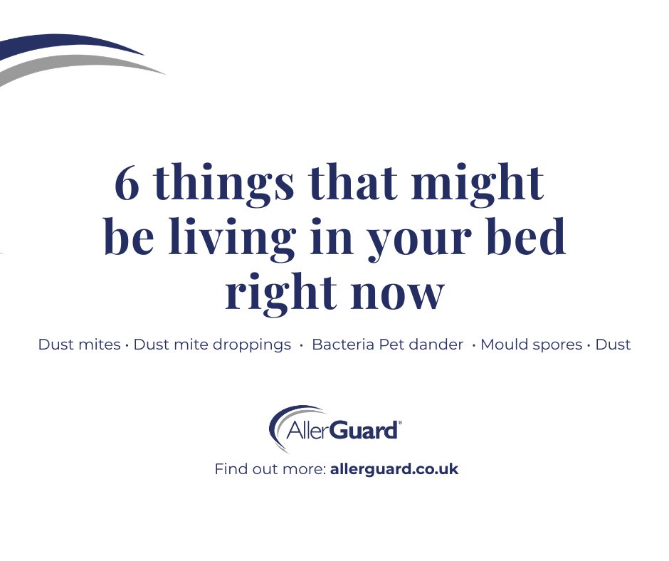 AllerGuardUK's tweet photo. 6 things that might be living in your bed right now: dust mites, their droppings, pet dander, mould spores, and bacteria. Vacuuming only removes 5–10% of them.  
Read more on https://t.co/aI8RwXwULm 
#AllergyUK #dustmiteprotection https://t.co/dqlmkQSwBQ