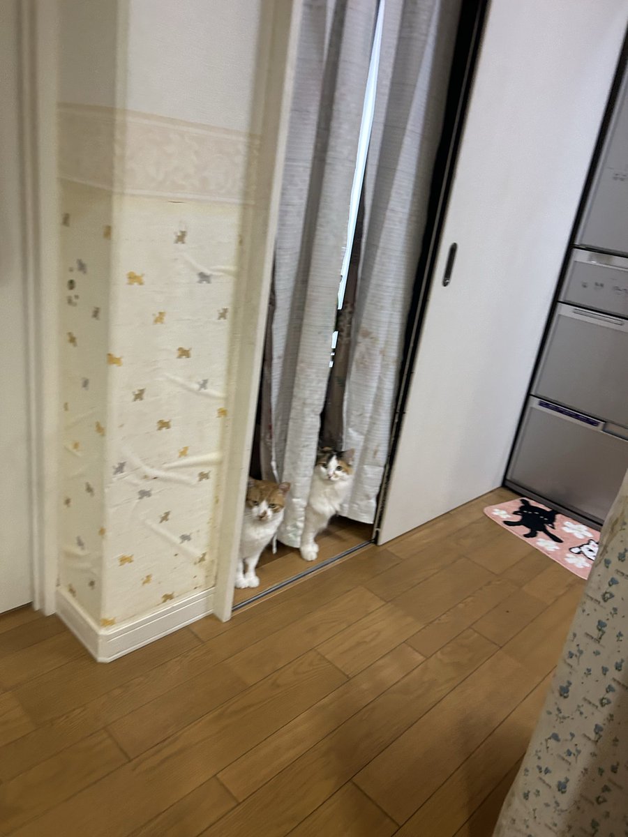 やっま@7y&5y tweet media