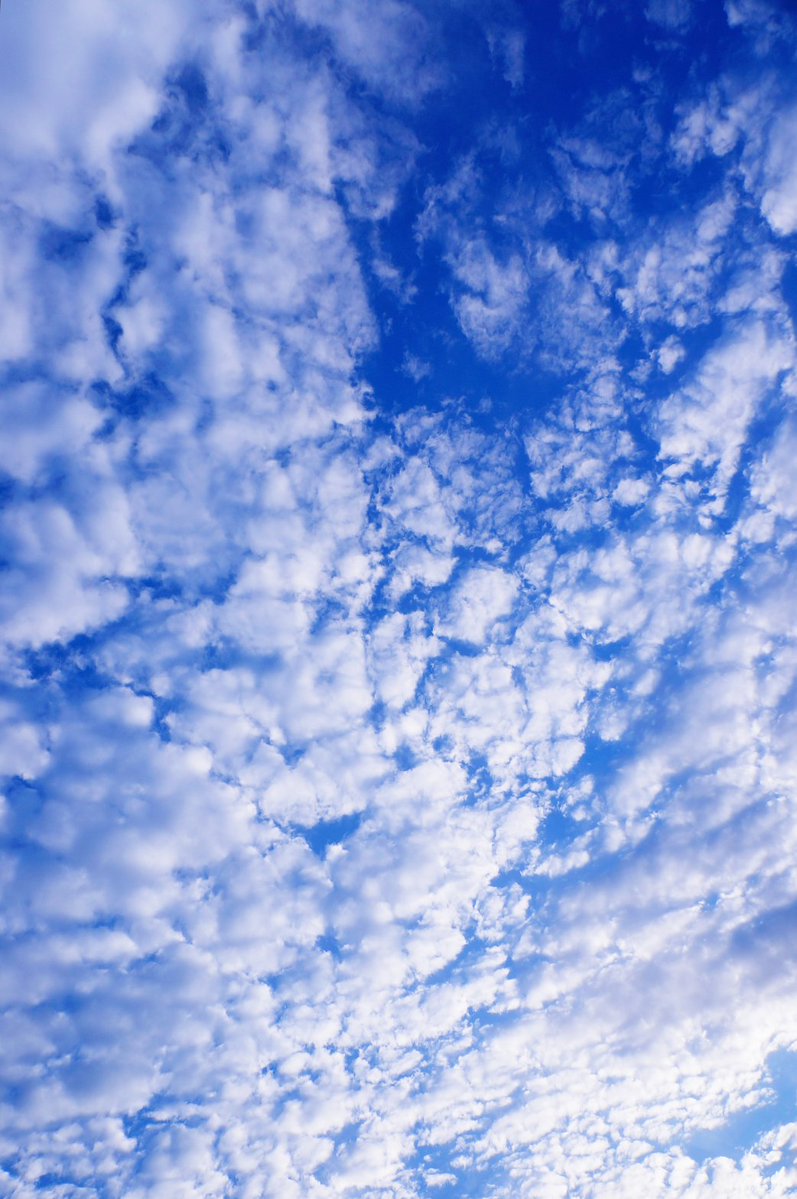雲もこもこ( *ﾟAﾟ)…
#いまそら #宮崎